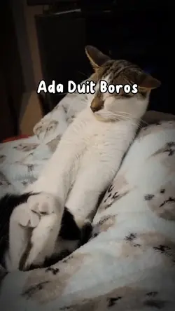 Gada duit stress