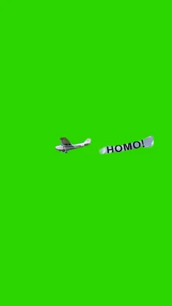 Flugzeug Homo