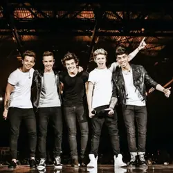 one direction 