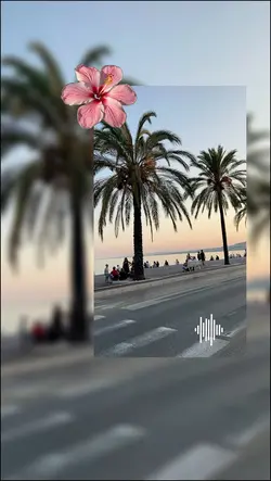 🌺