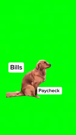 Humpy dog meme