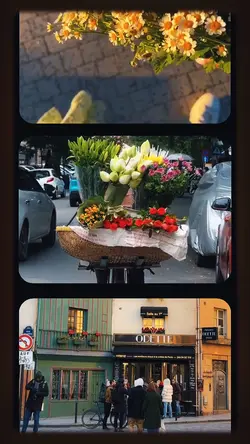 Welcome spring