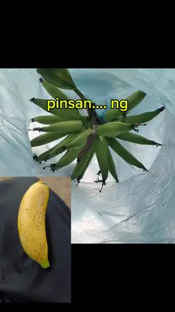 pisang rojo