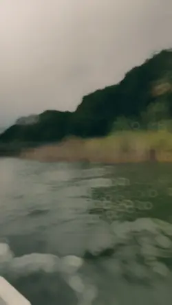 Nature slowmo