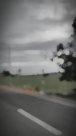 Nature HD Slowmotion