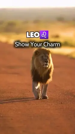 LEO show your charm