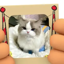 Pocoyo Nunjukin Foto