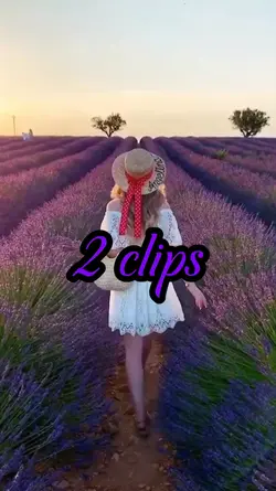 2 videos