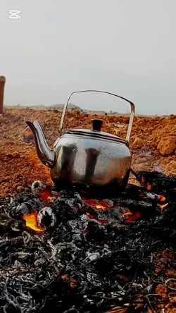 yeni şablon 