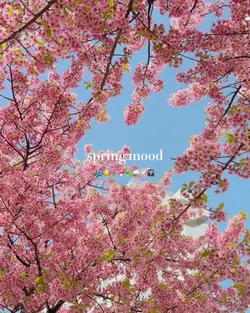 spring mood<3