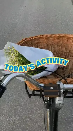 Today's Activity