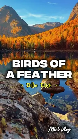 Birds of a feather