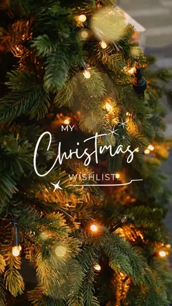 christmas wishlist 🎄