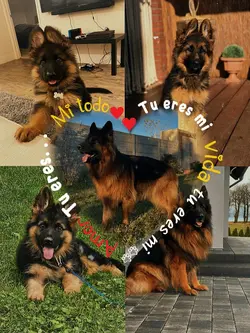 Tu eres mi vida...