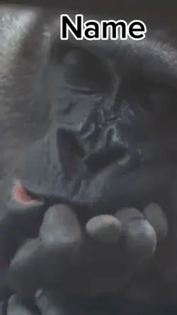Hmmmmzz