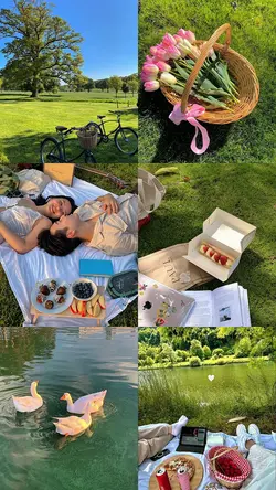 picnic in the park