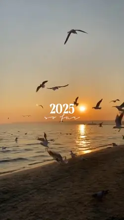 2025 so far