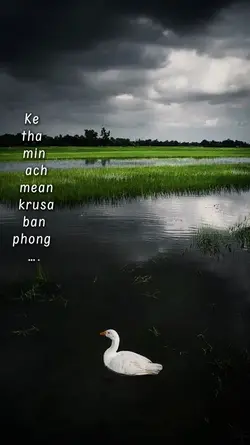 500$ មិនអាចមានគ្រួសារបាន 😌