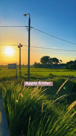 Apple fritter