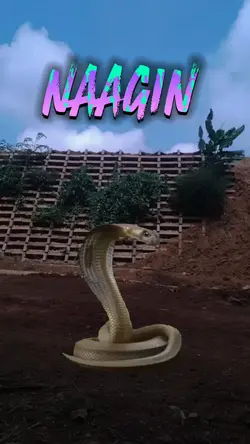 Naagin