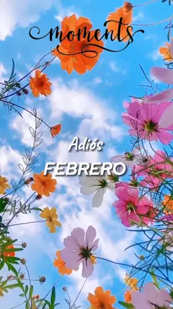 Adiós febrero 