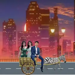 Naik Zebra