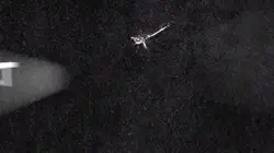 늙은 개 타이포그래피