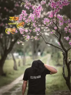Tending Sad Song