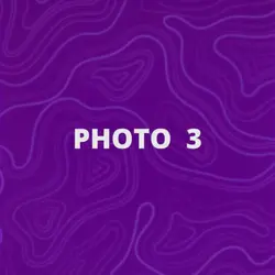NEW EDIT ZONE