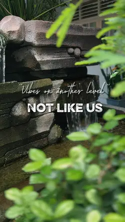 Not Like Us Cinematc