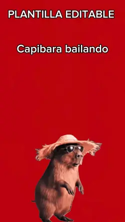 Capibara bailando