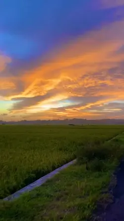 terang senja
