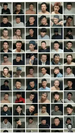 Trend Hồng Tỷ