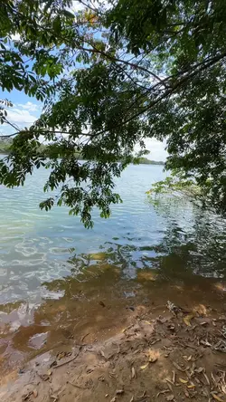 Maranhão 🌎❤️🔥