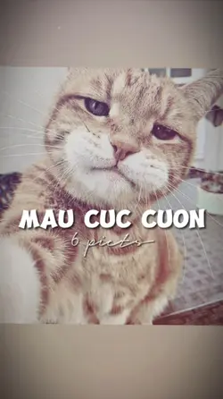 6 ẢNH GIẬT GIẬT CHÁY