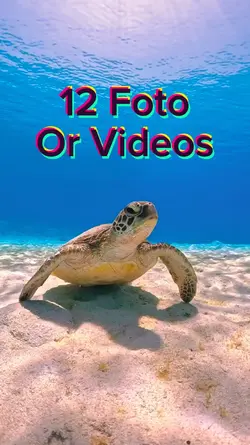 12 foto slides