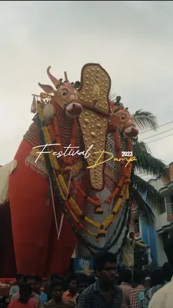 Festival Dump