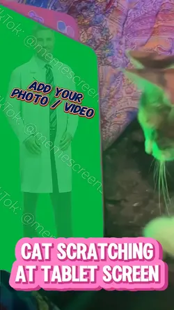 CAT PAWING AT TABLET