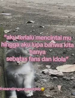 cuman sebatas idola