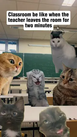 Classroom Chaos