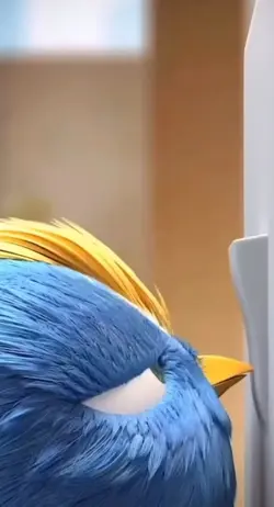 BIRD TREND