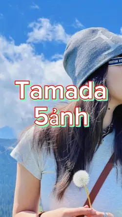Tamada 5 ảnh