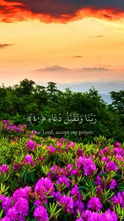 Quran Template ❤️