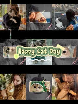 Happy Cat Day