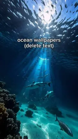 ocean wallpapers