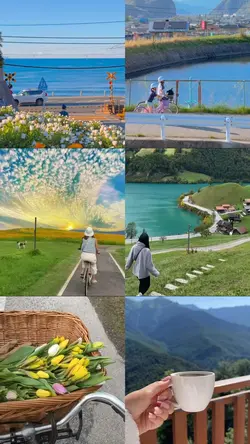6 video grid