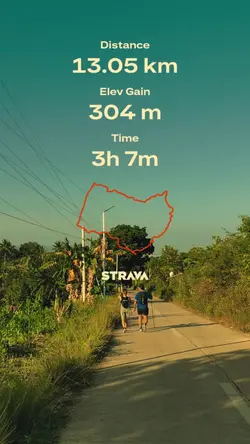 Strava Trend