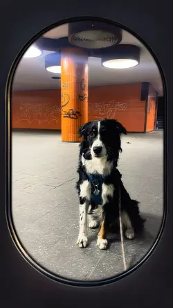 Schwarz und weiß 