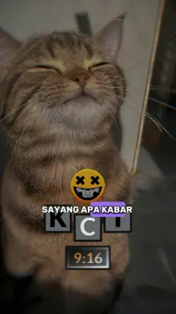 sayang apa kabar dgn