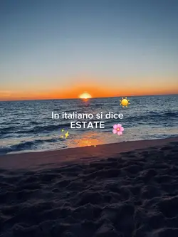 🐚